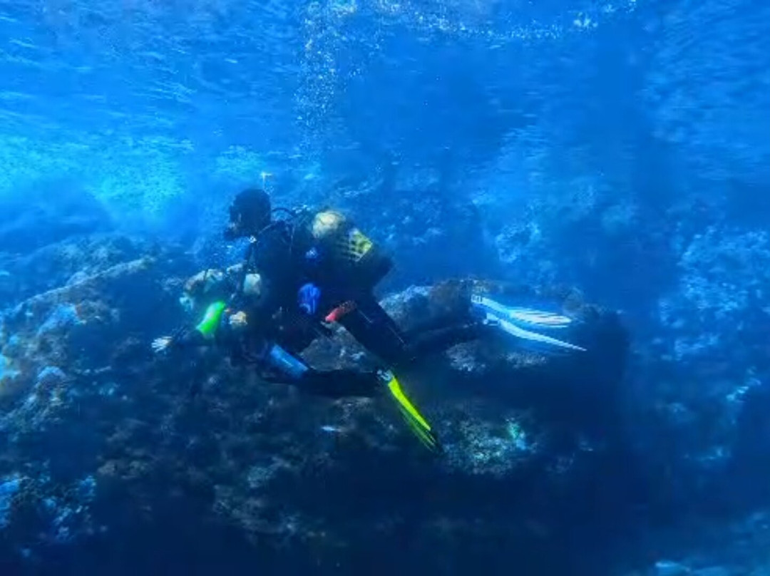 Madeira Diving Center-Canico必去景点