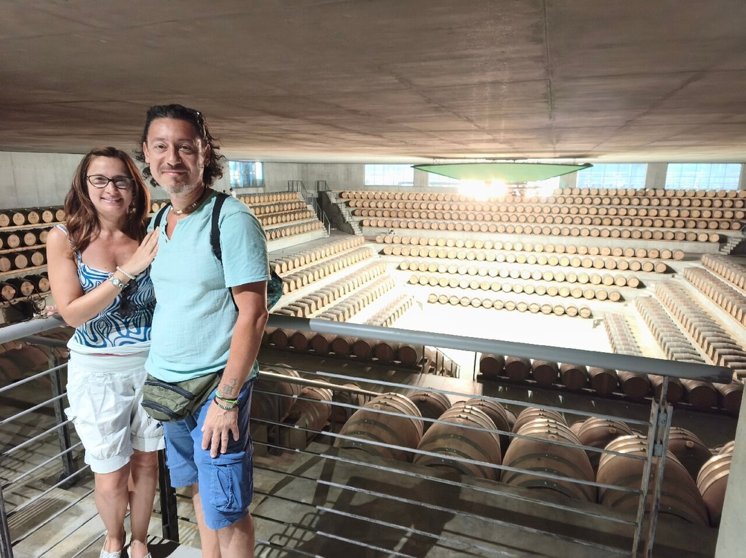 Cantina Rocca di Frassinello