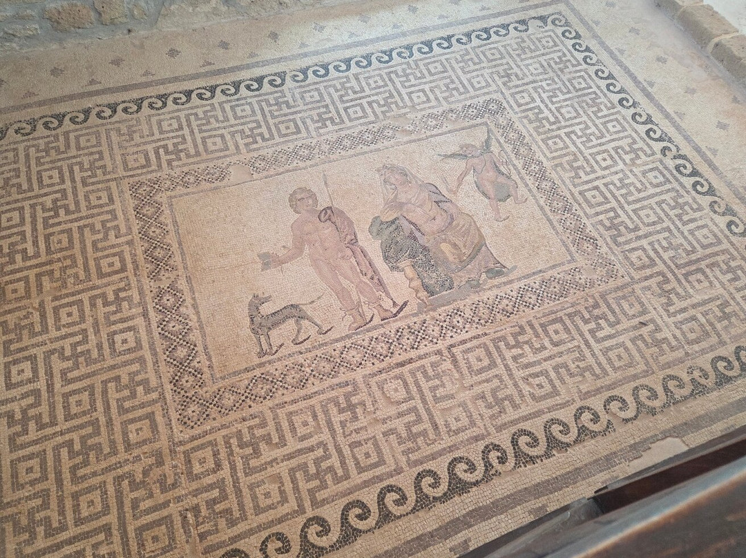 Kato Paphos Archaeological Park-帕福斯必去景点