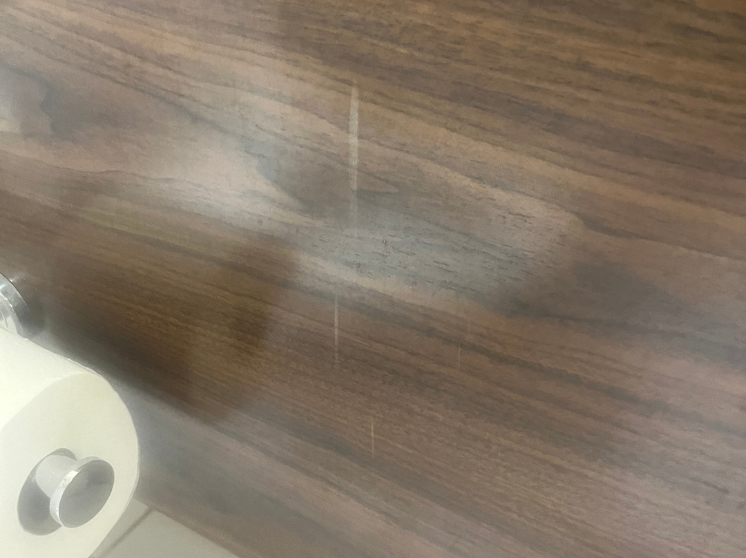 查尔斯顿福朋喜来登酒店主图