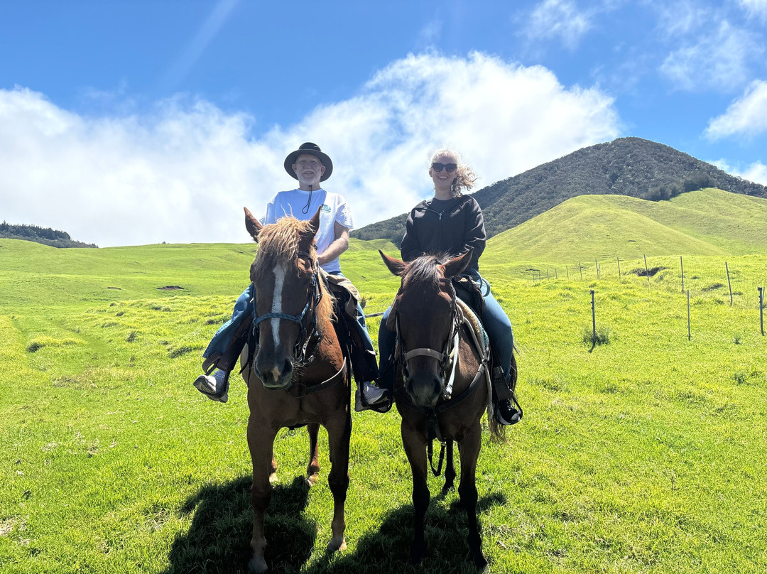 Na'alapa Stables - Kahua Ranch-卡慕也拉必去景点