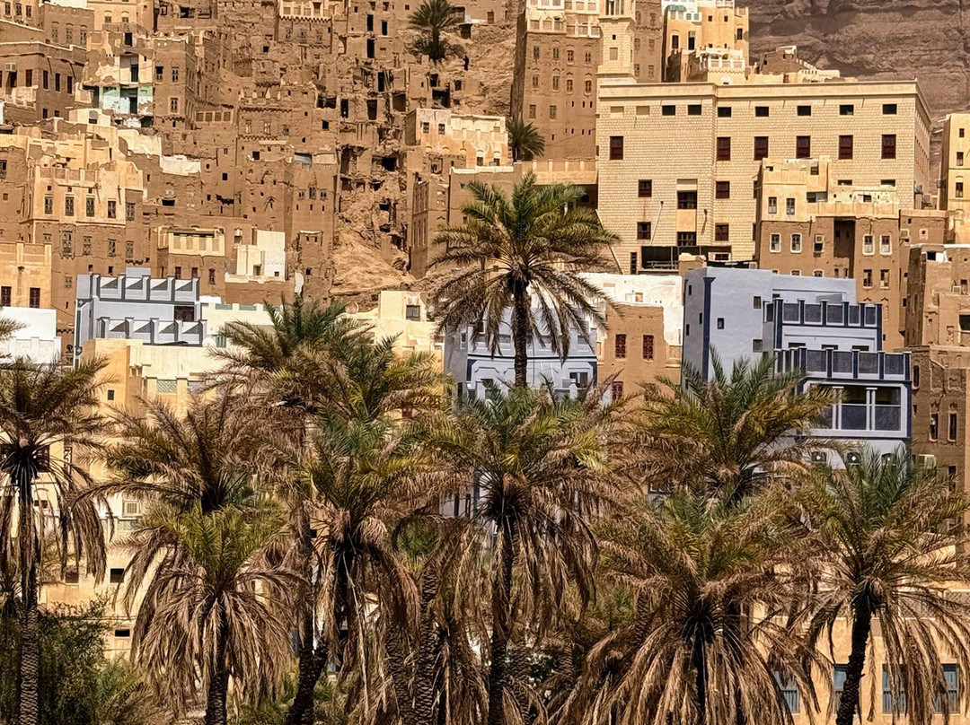 Yemen Heritage Tours-Seiyun必去景点