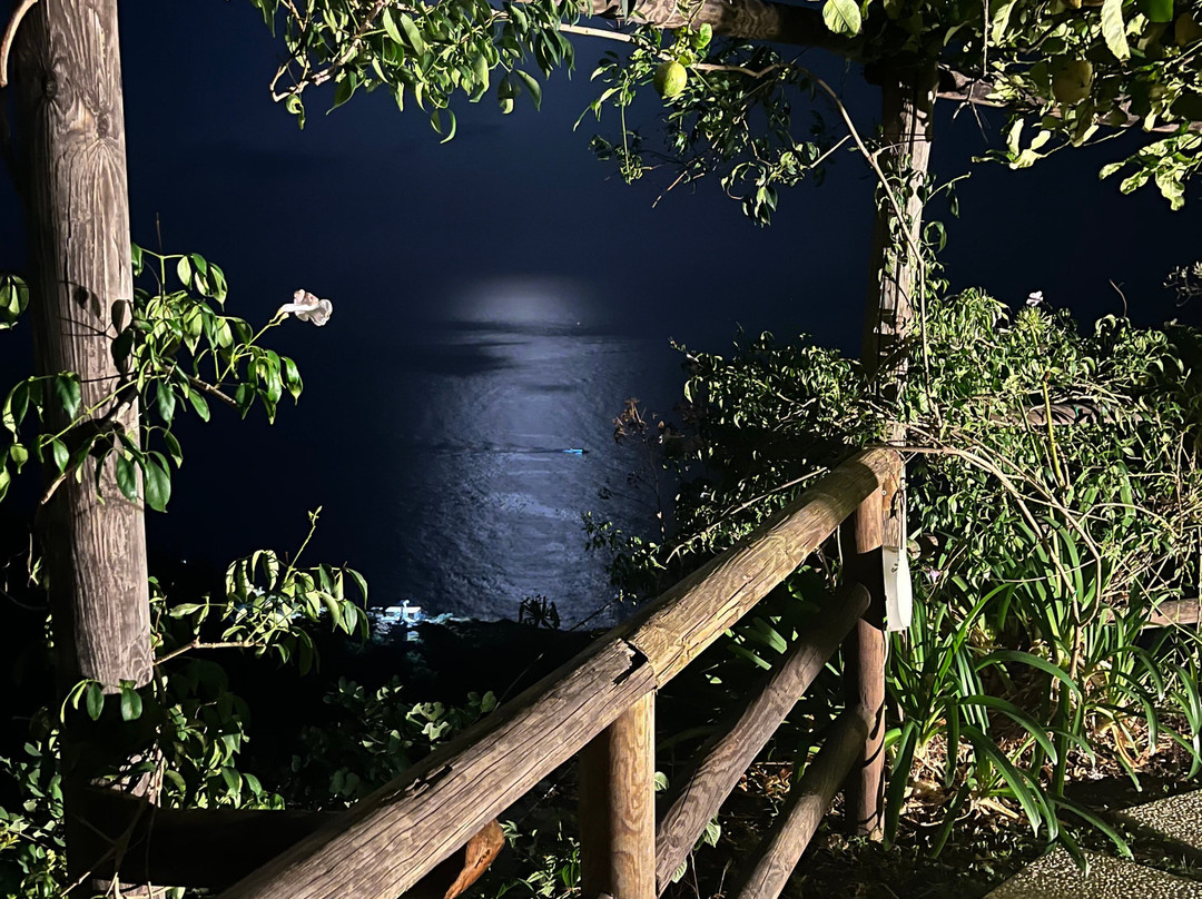 印度菲克假日旅馆主图