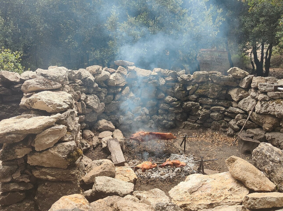 Sardegna Nascosta-Oliena必去景点
