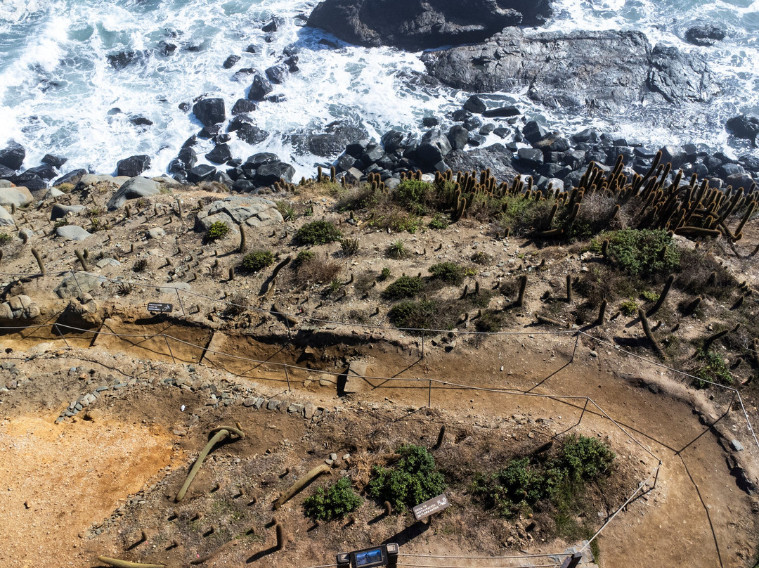 Parque Punta De Lobos-皮钦勒姆必去景点