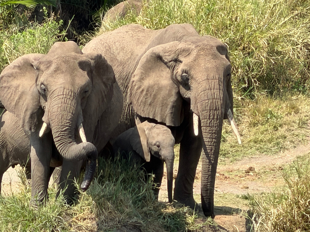 Unlimited Expeditions - The Soul Of Tanzania-阿鲁沙必去景点