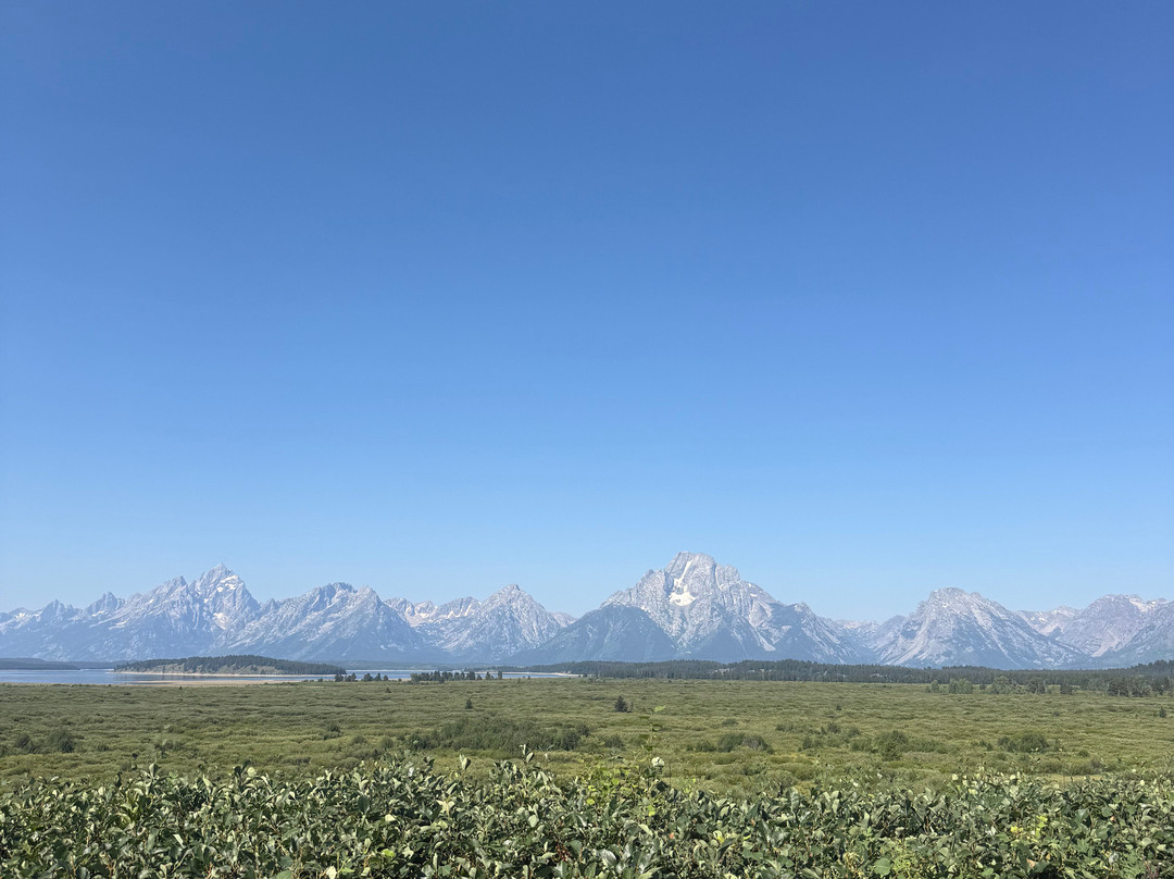Buffalo Roam Tours - Day Tours-杰克逊必去景点