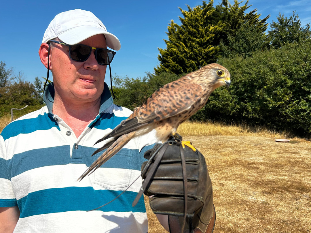 Feathers and Fur Falconry Centre-布拉克内尔必去景点