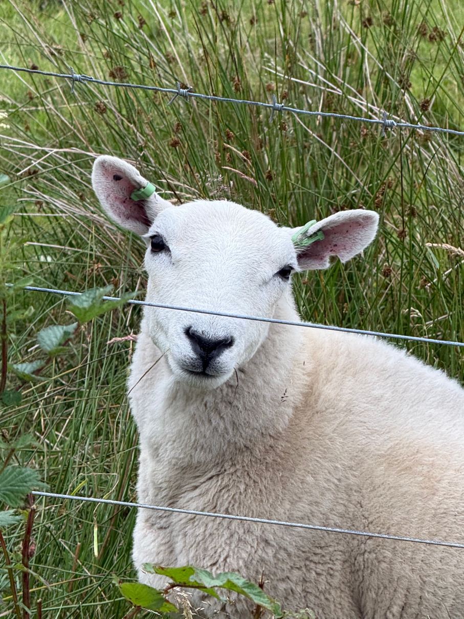 Trotternish B&B-旅行者