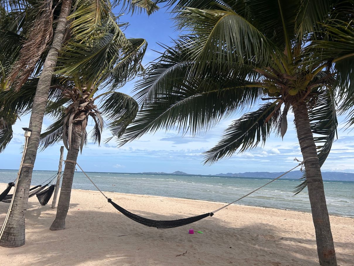 Mac's Bay Resort-旅行者