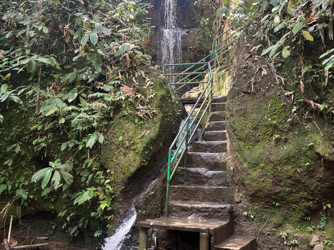 Authentic Walking Tours-乌布必去景点