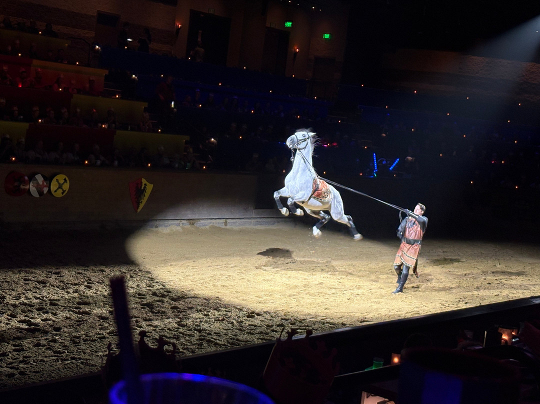 Medieval Times Dinner & Tournament-斯科茨代尔必去景点