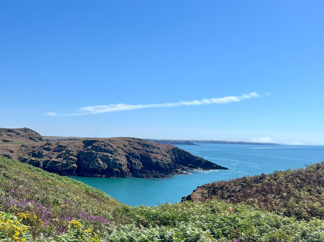 Pembrokeshire Islands Boat Trips-Marloes必去景点