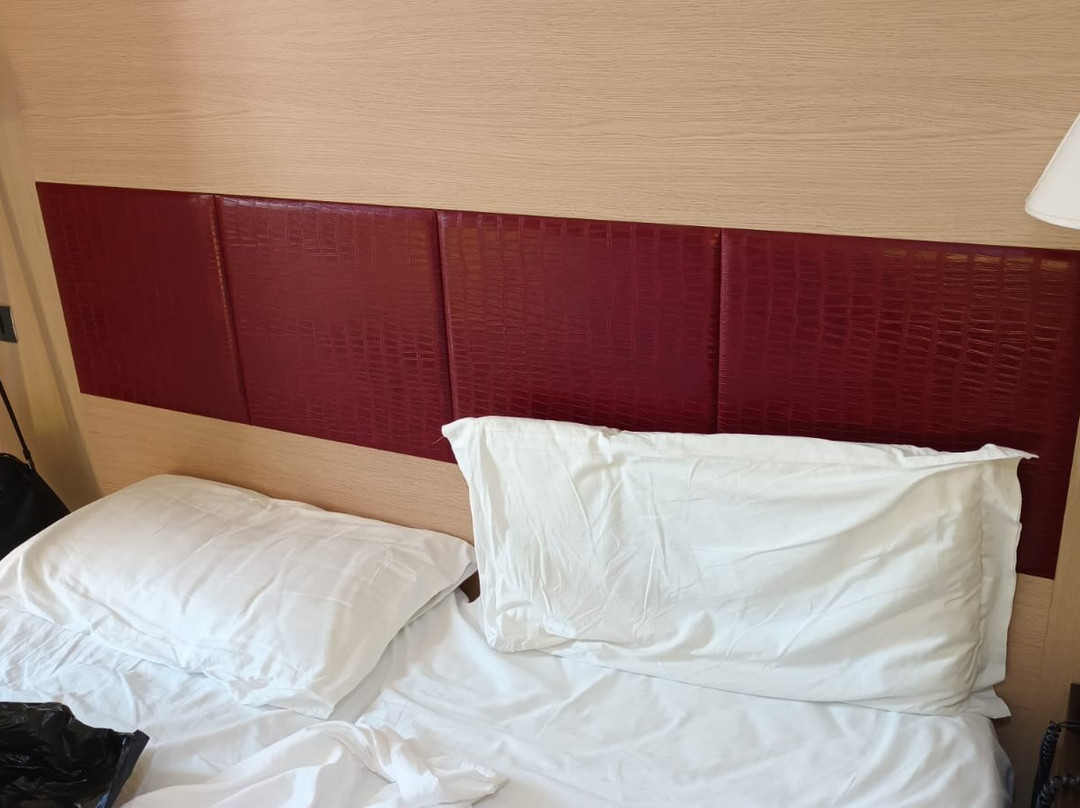 Cassiopea Lido Hotel主图