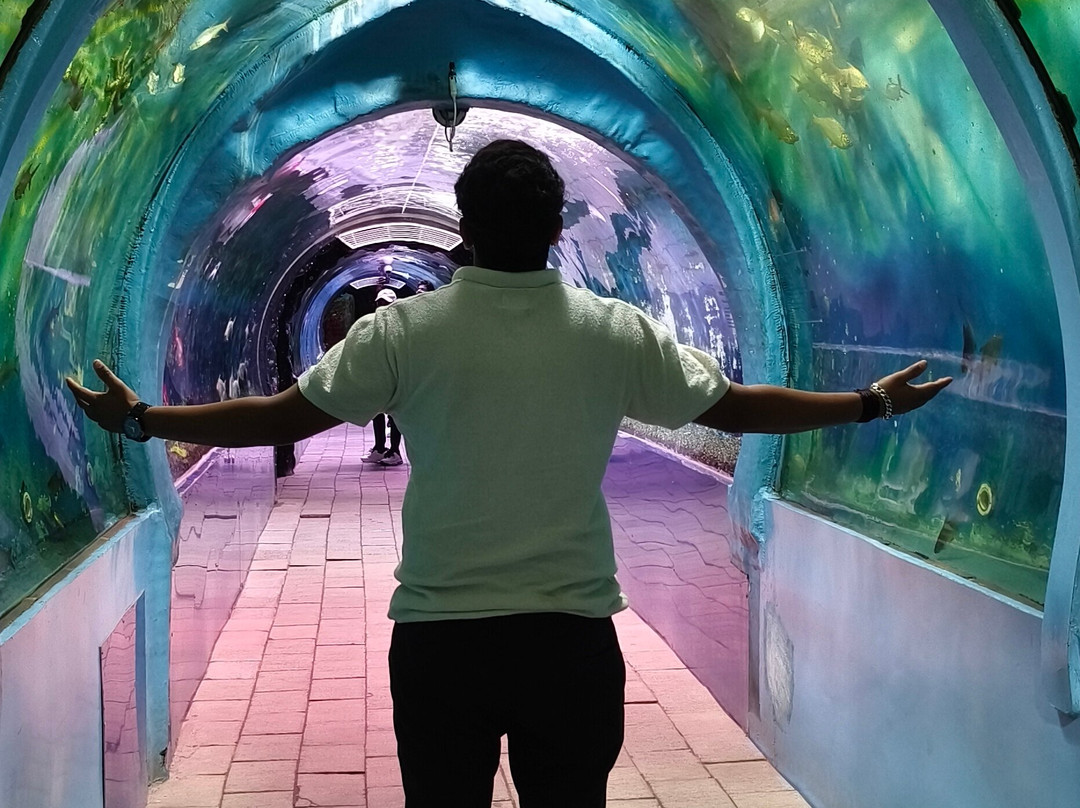 Lokaranjan Aqua World Underwater Zoo-迈索尔必去景点