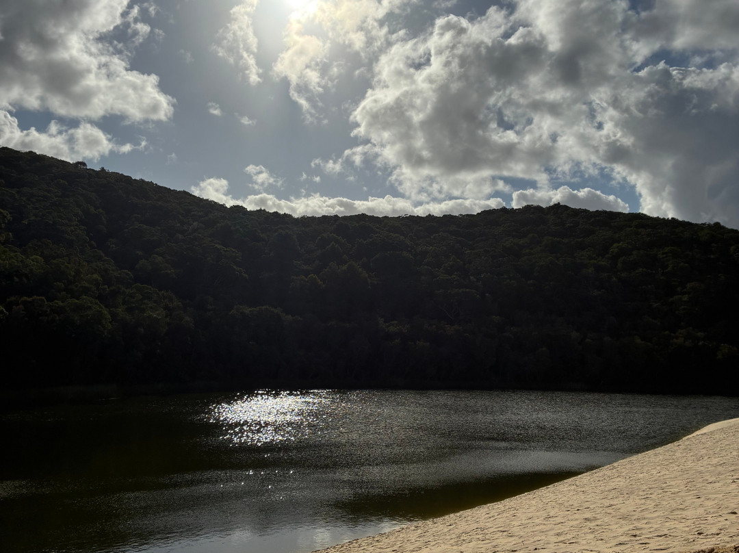 Drop Bear K'gari Fraser Island Adventures-弗雷泽岛必去景点