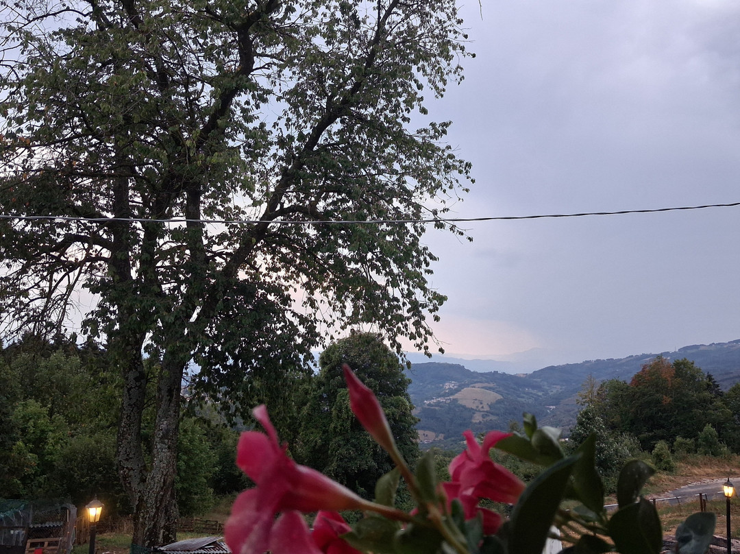 Bed and Breakfast Country House Rugiada主图