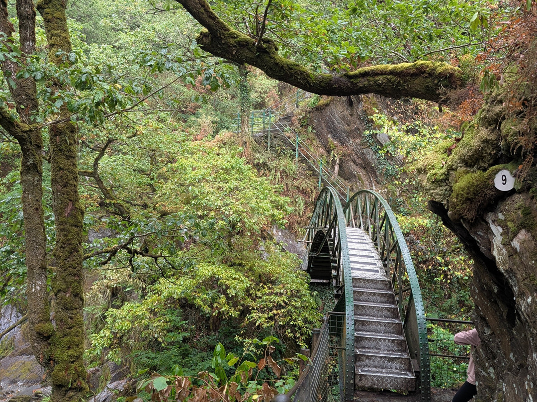 Devil's Bridge Waterfalls-Devil's Bridge (Pontarfynach)必去景点
