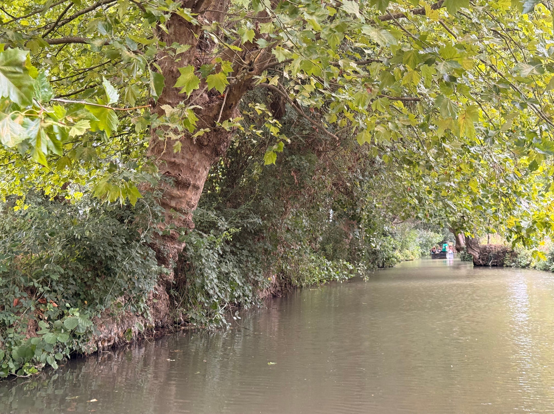 Embarcadere Cardinaud - Marais poitevin-Nouvelle-Aquitaine必去景点