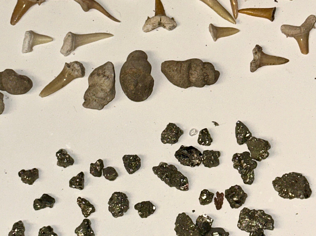 Princess Sodalite Mine Rock Shop-班克罗夫特必去景点