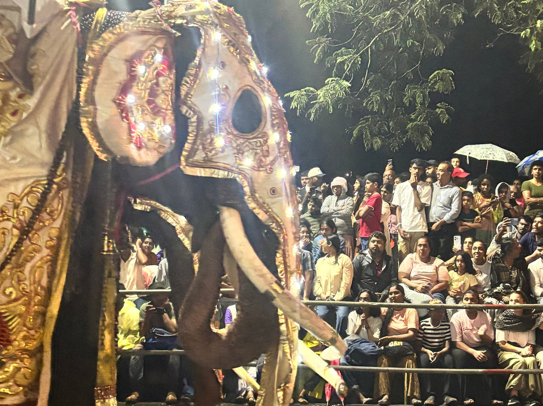 Esala Perahera Festival-康提必去景点