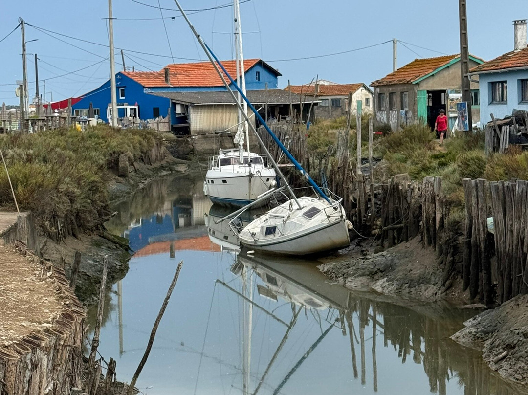 Les Cabanes de la Baudissière-Dolus-d'Oleron必去景点