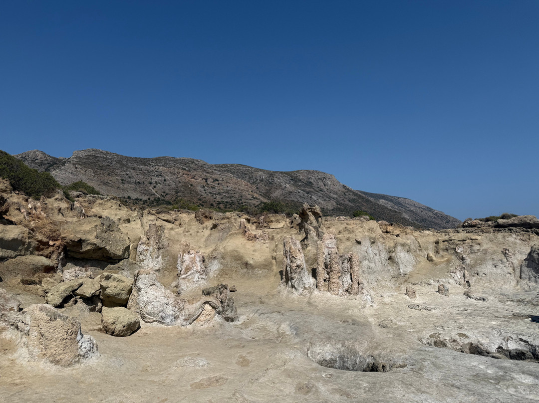 Petrified Forest-Agios Nikolaos必去景点