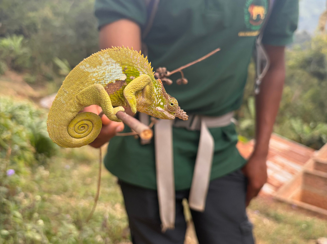 Usambara Eco Tours-卢绍托必去景点