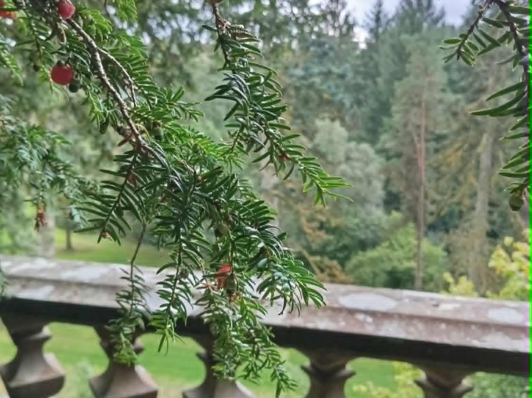 Drumlanrig Castle-Thornhill必去景点