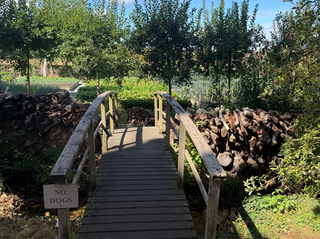 THE PIG-at Bridge Place主图