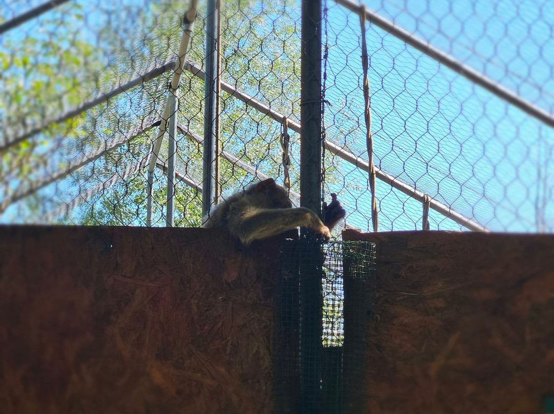 Parco Zoo di Poppi-波皮必去景点