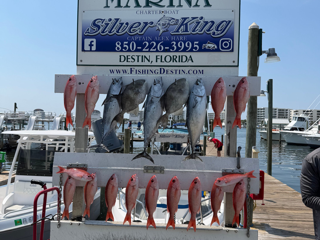 Silver King Charters of Destin-Sandestin必去景点
