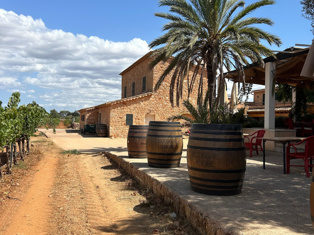 Bodegas Angel-Santa Maria del Cami必去景点