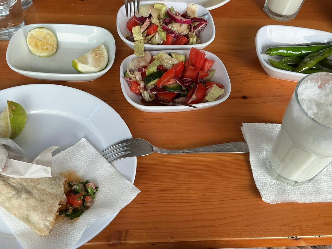 Tantunici Adnan Usta