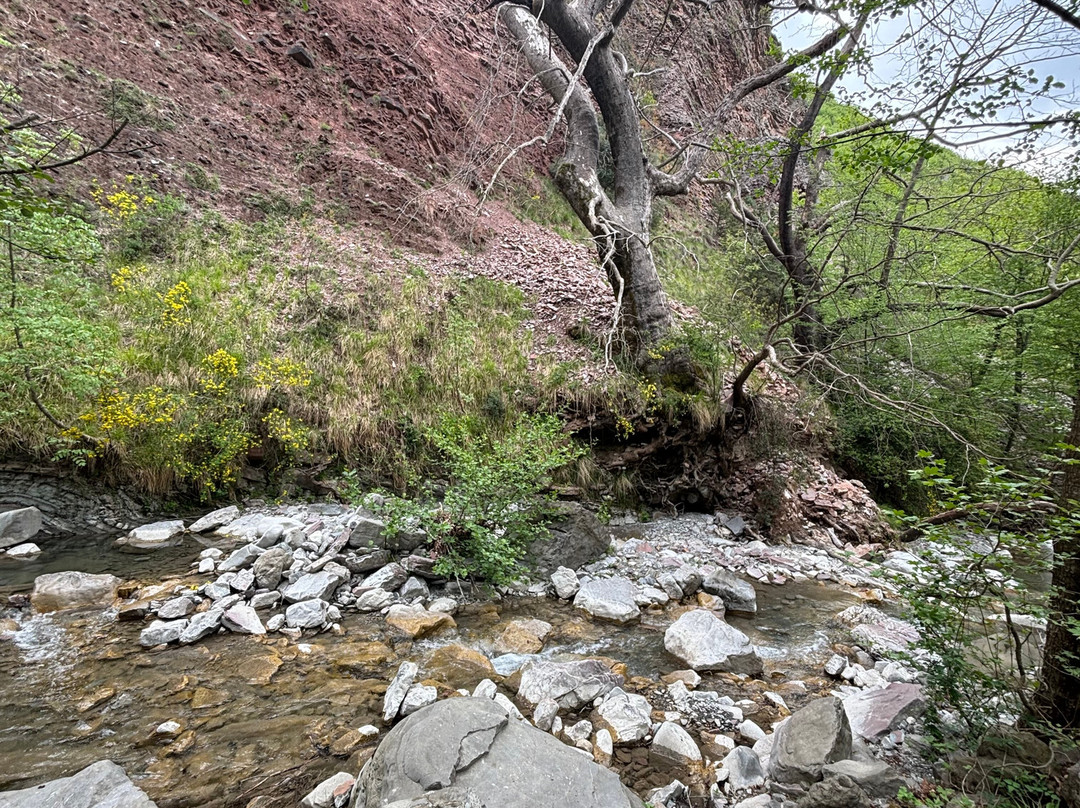 Shengjergji Waterfall-地拉那必去景点