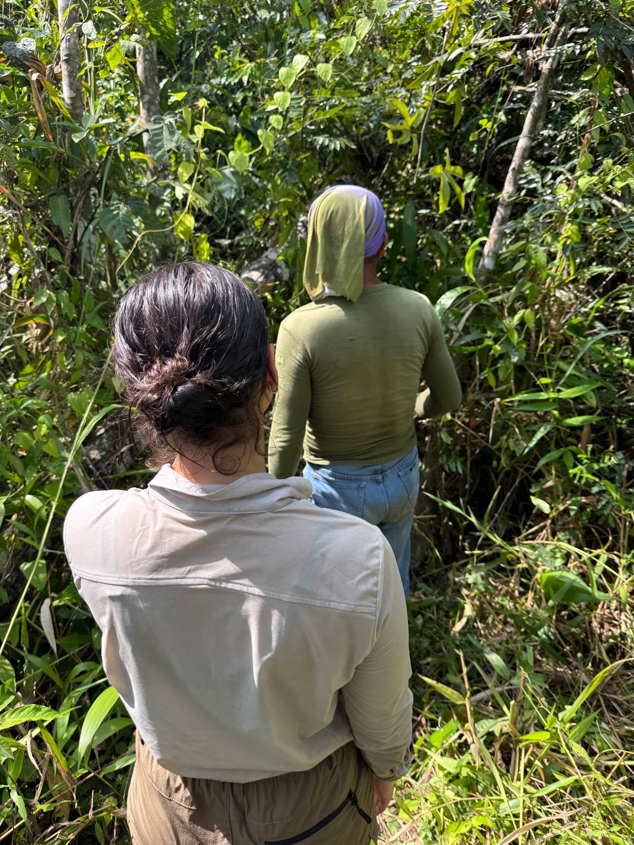 Lupuna Jungle Tours-旅行者