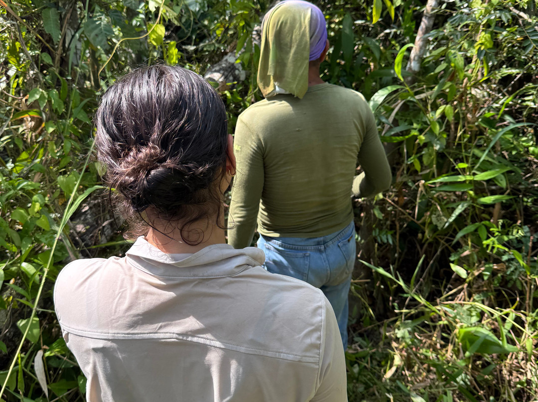Lupuna Jungle Tours主图