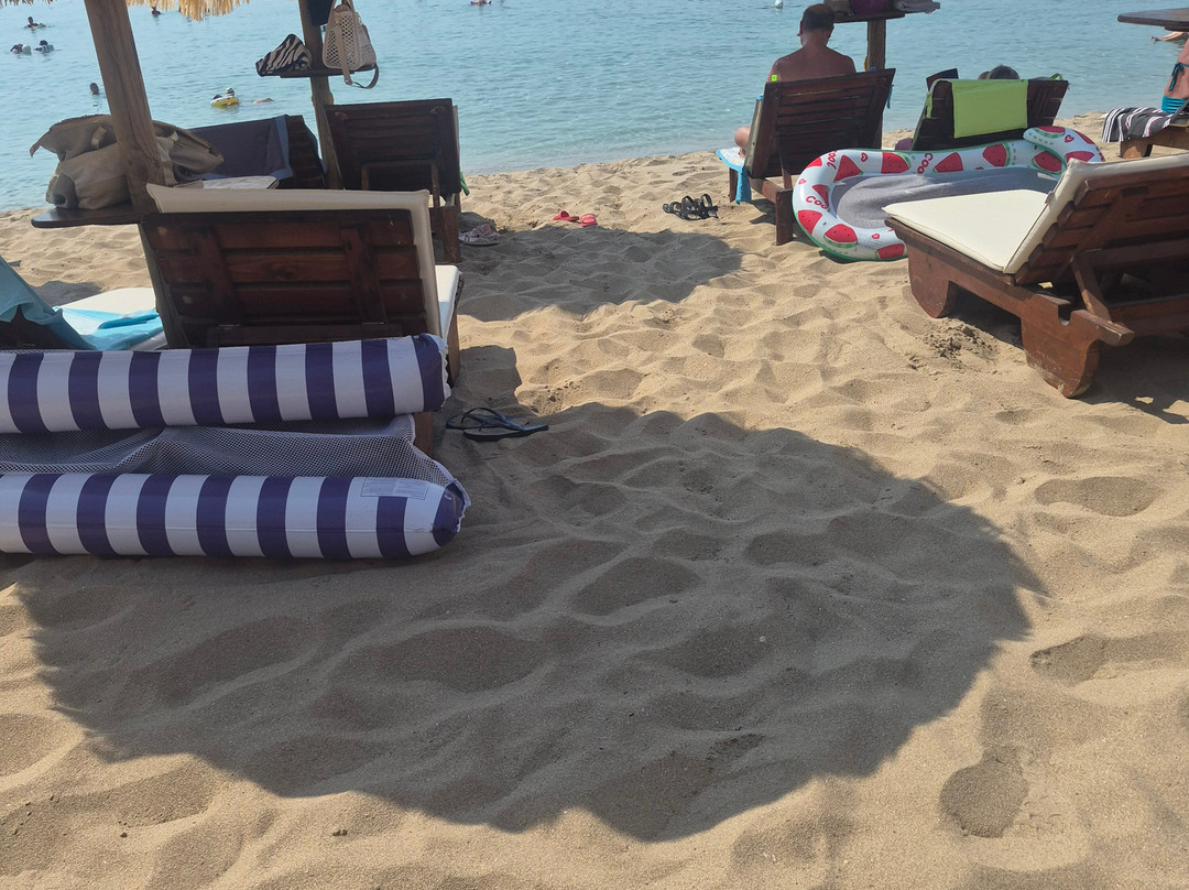 Samanà Beach-Punta Prosciutto必去景点