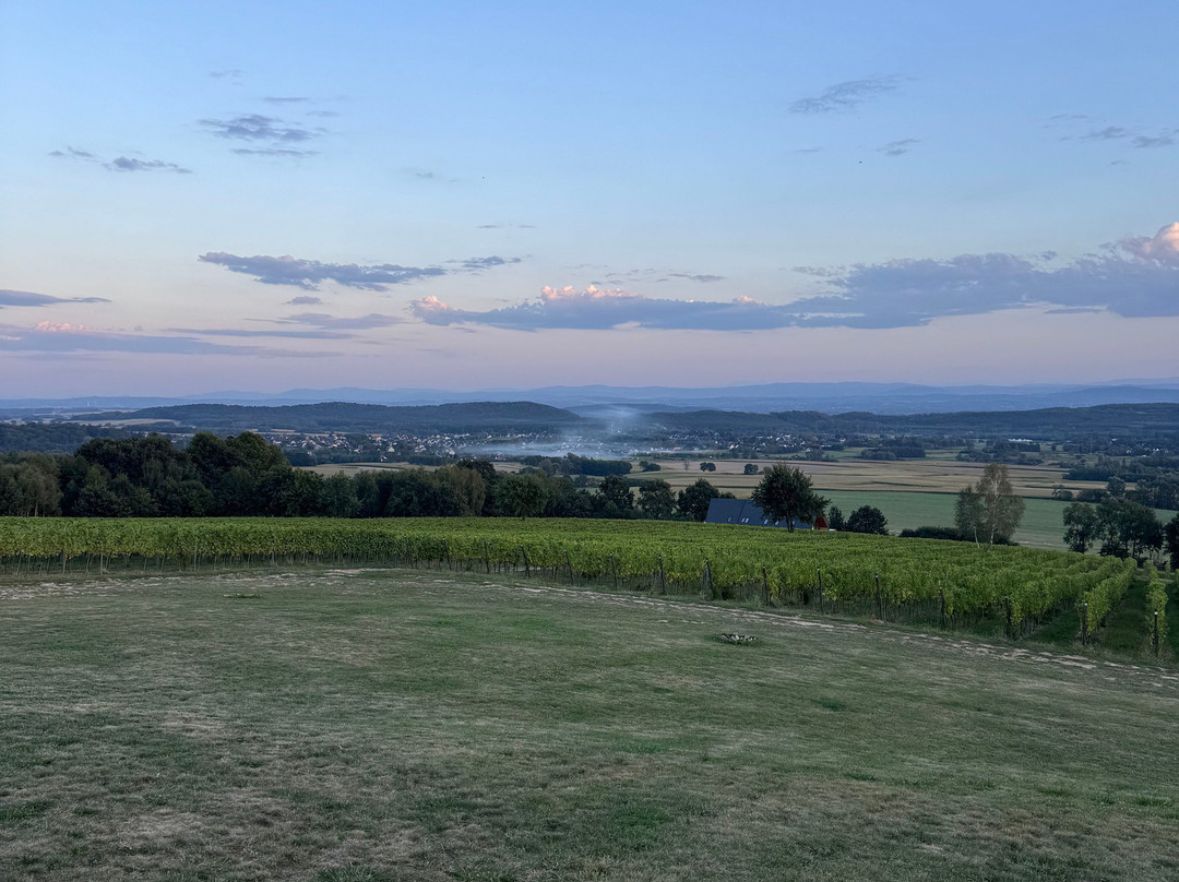 Winnica Jura-Rybna必去景点