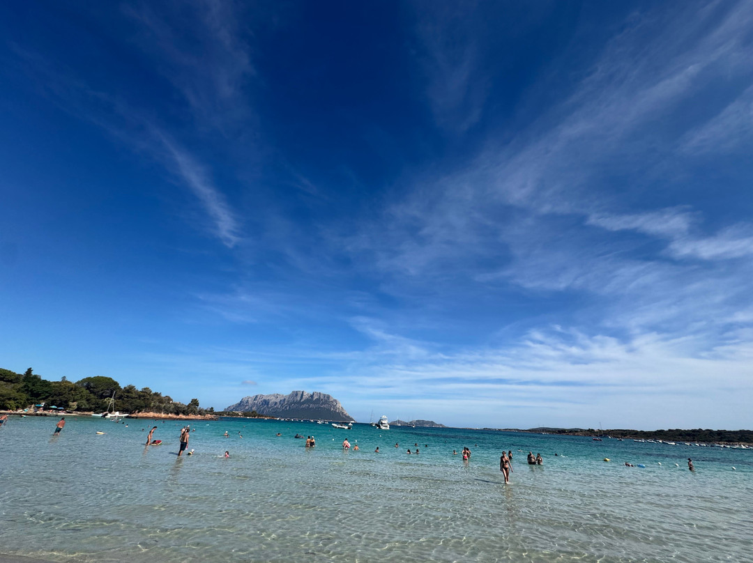 Spiaggia Sas Enas Appara-Porto Istana必去景点
