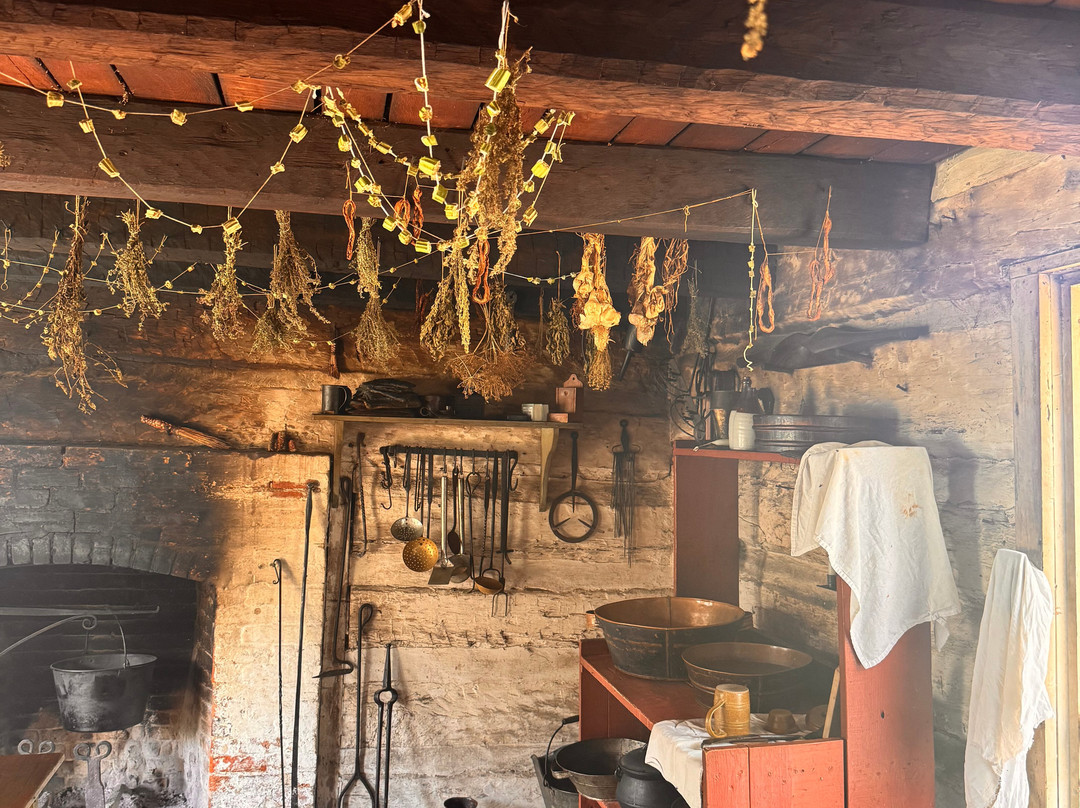 Lincoln Log Cabin-Lerna必去景点