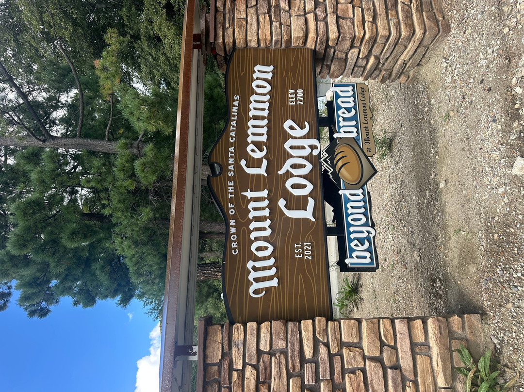 Mt. Lemmon Scenic Byway-图森必去景点