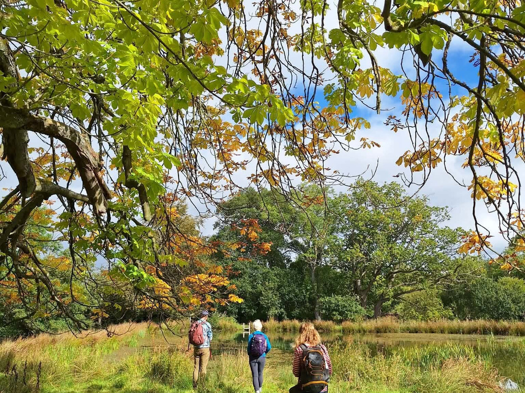 Hepple Wilds Estate-Rothbury必去景点