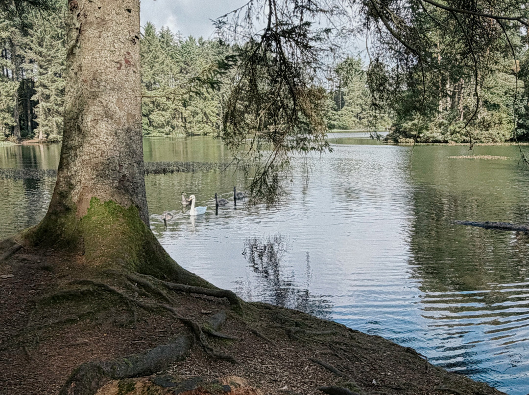 Beecraigs Country Park-林利斯戈必去景点
