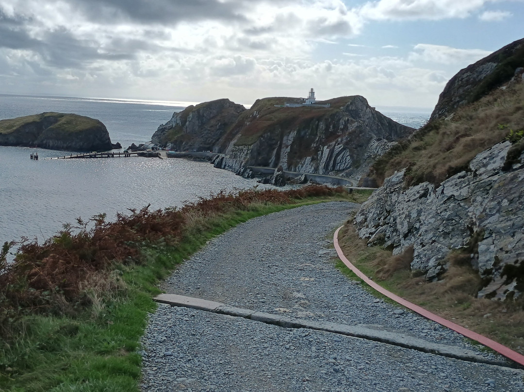 Lundy Island-比迪福德必去景点