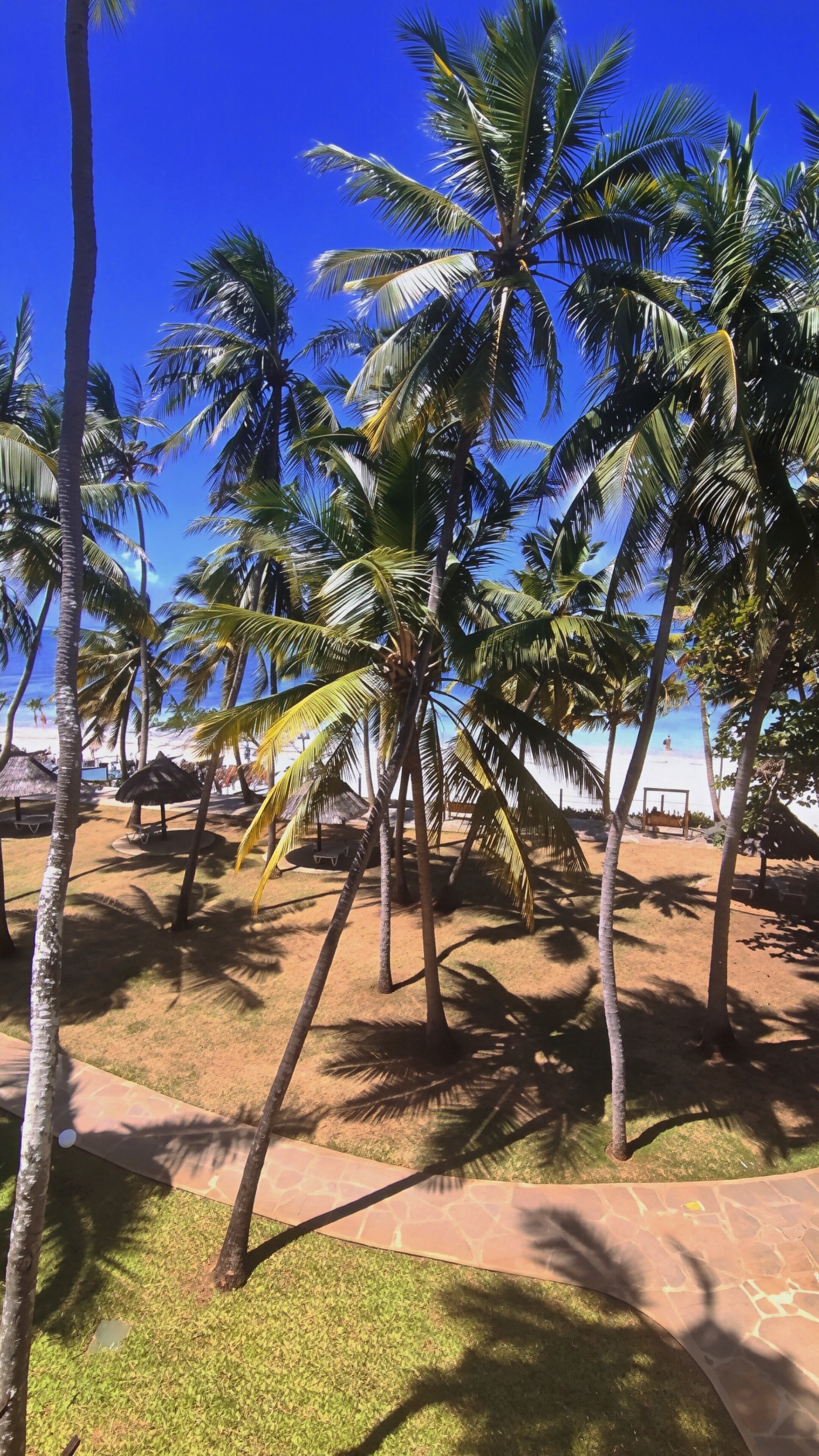 萨洛瓦史坦利白沙海滩度假村-旅行者