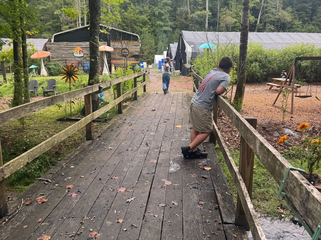 Ellijay Mushrooms - Farm Store-Ellijay必去景点