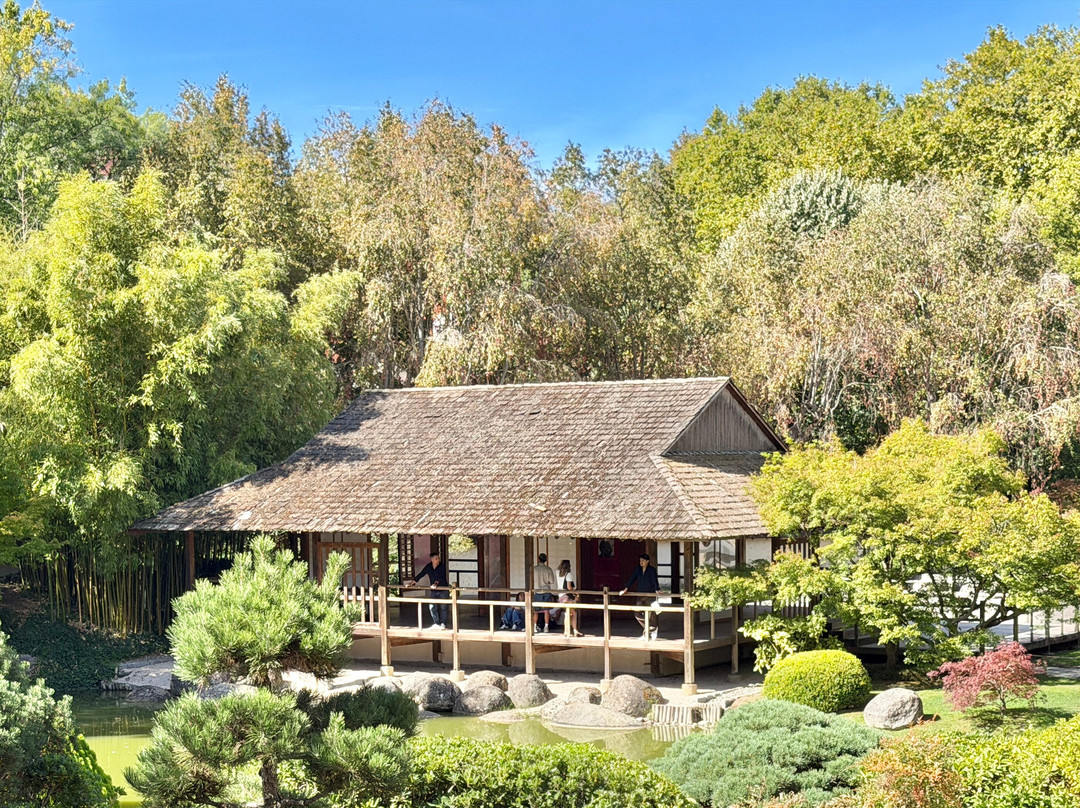 日本花园-图卢兹必去景点