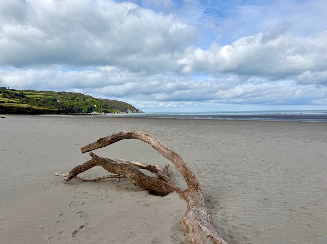Poppit Sands Beach-Cardigan必去景点