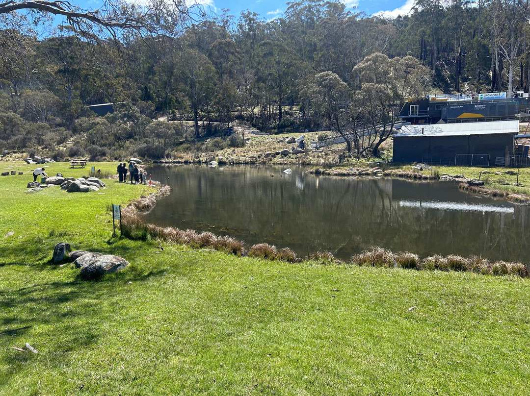 Corin Forest-Paddys River必去景点